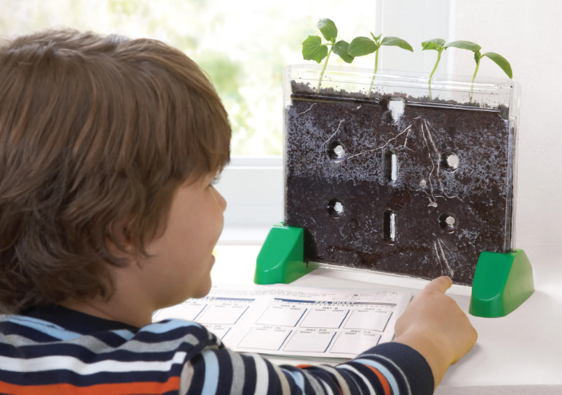 Kit de Germinación y Observación Botánica