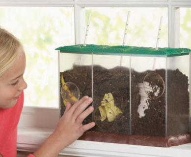 Kit Educativo de Compostaje Infantil